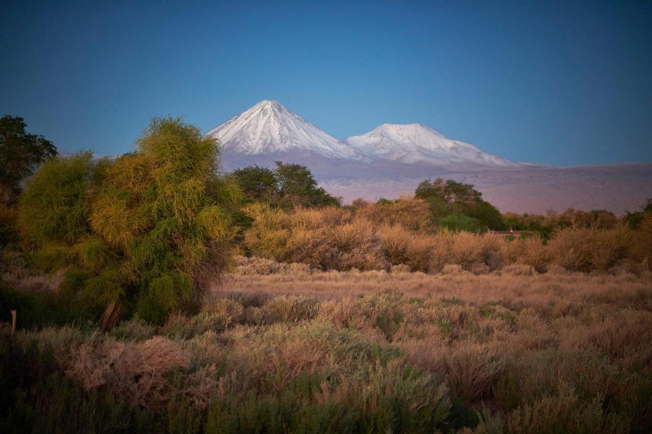 Affittacamere Casa Chincol San Pedro De Atacama Esterno foto